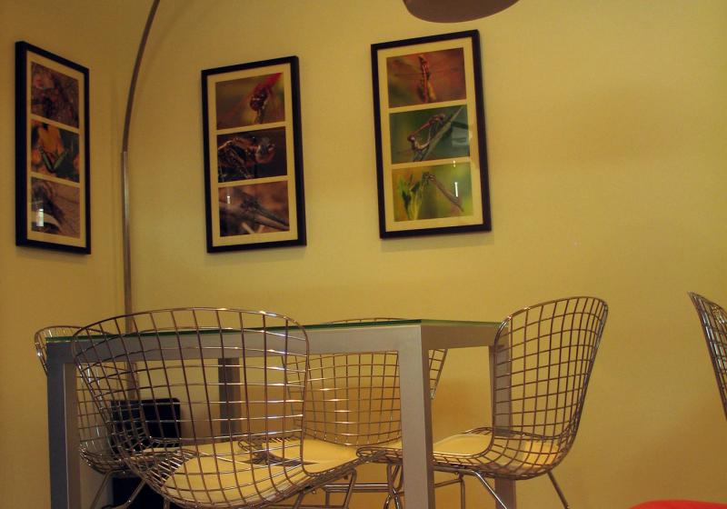 Image00004