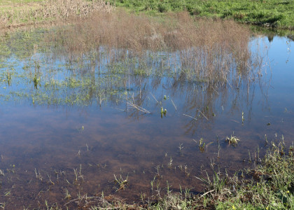 Habitats de água doce