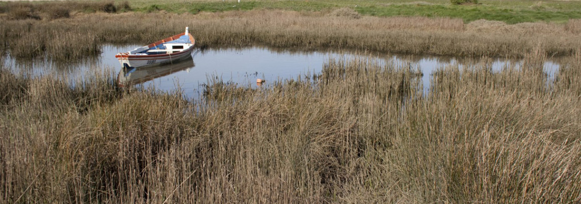 Habitats costeiros