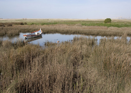 Habitats costeiros