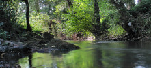 Habitats de água doce