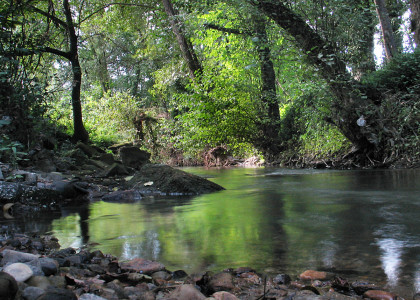 Habitats de água doce