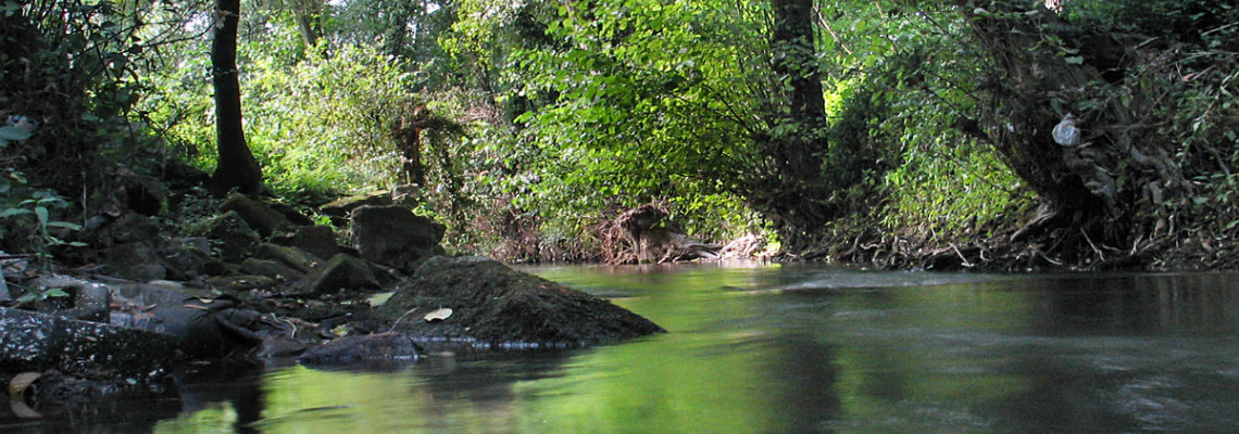 Habitats de água doce